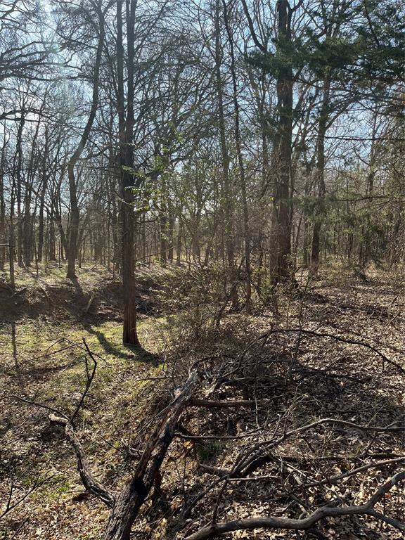 833 County Road 426 Property Photo 6