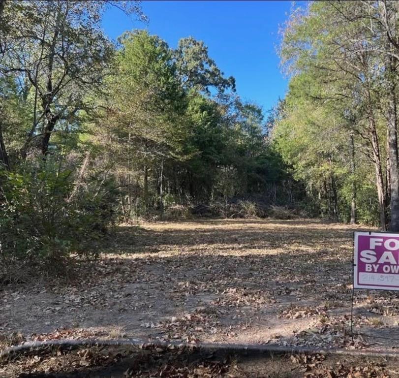 309 Garner Drive Property Photo 2