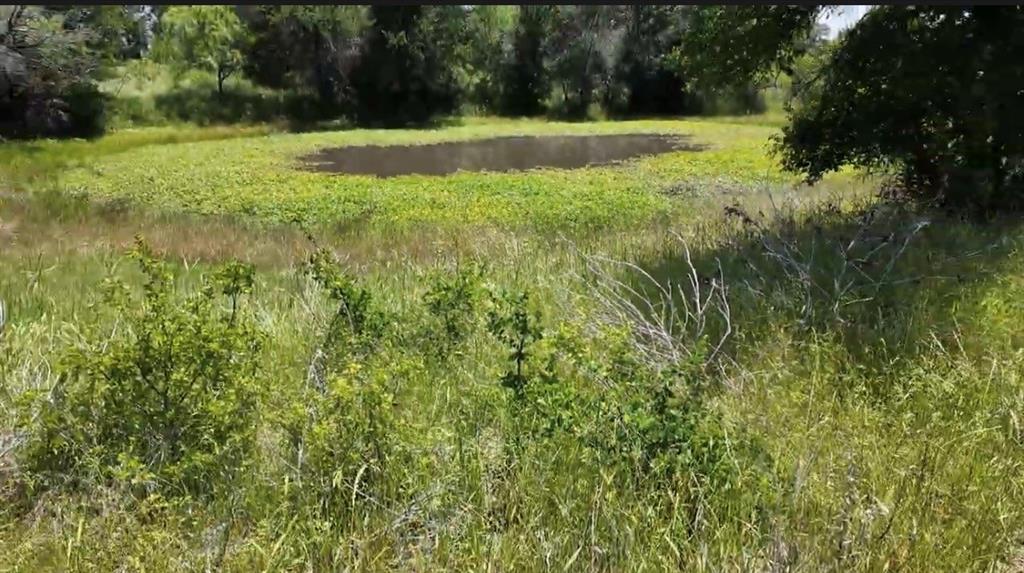 932 Fm 3137 Property Photo 34