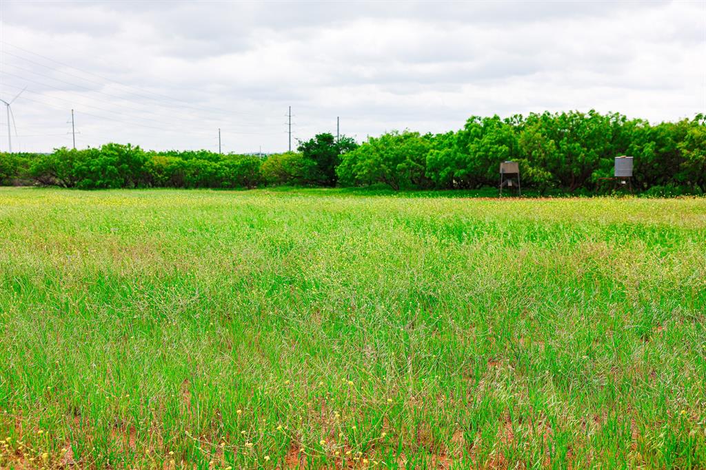 250 Cr 317 Property Photo 18