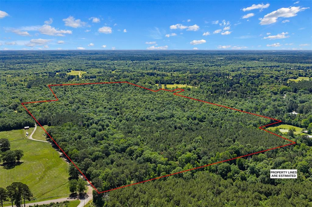 Tbd County Road 3361 Property Photo 3