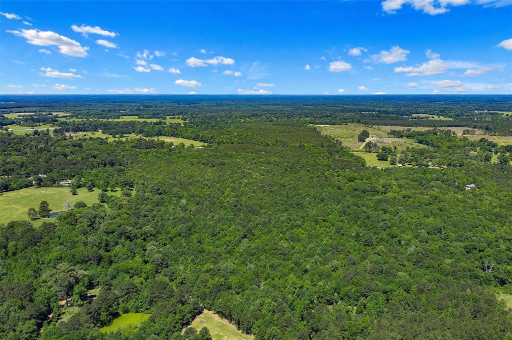 Tbd County Road 3361 Property Photo 4