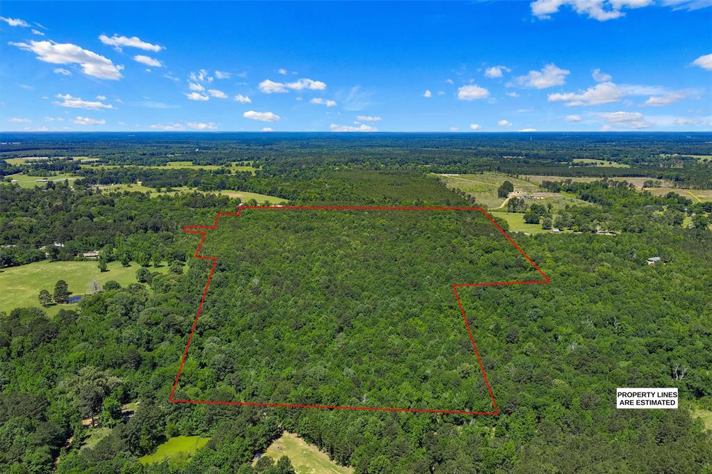 Tbd County Road 3361 Property Photo 5