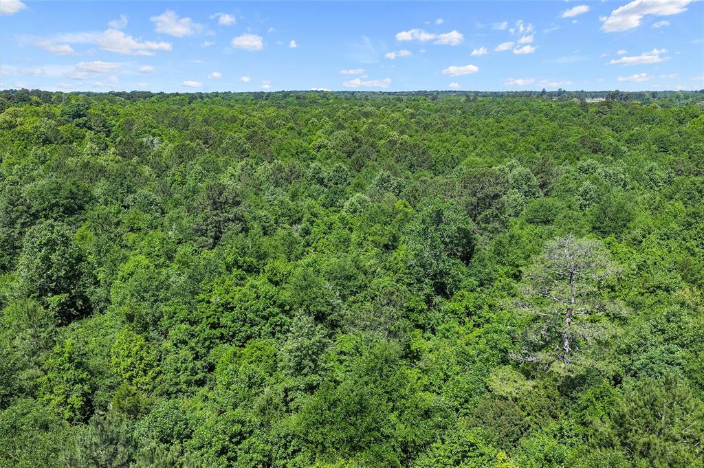 Tbd County Road 3361 Property Photo 6