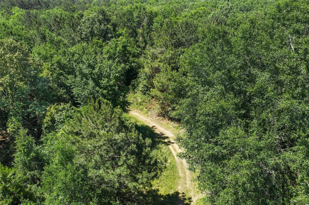 Tbd County Road 3361 Property Photo 7