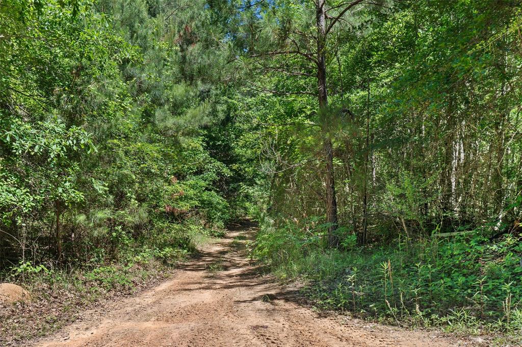 Tbd County Road 3361 Property Photo 8
