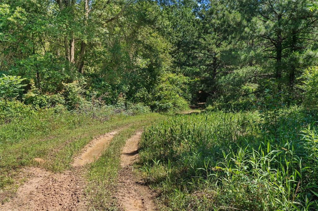 Tbd County Road 3361 Property Photo 10