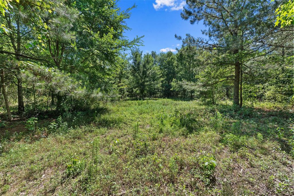 Tbd County Road 3361 Property Photo 12