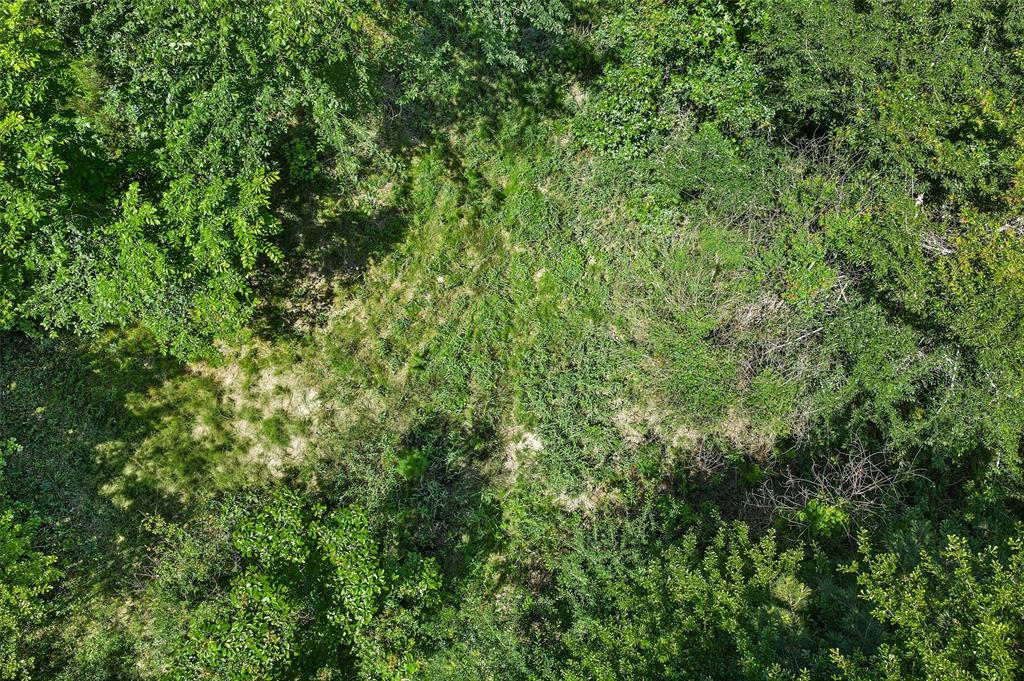 Tbd County Road 3361 Property Photo 13