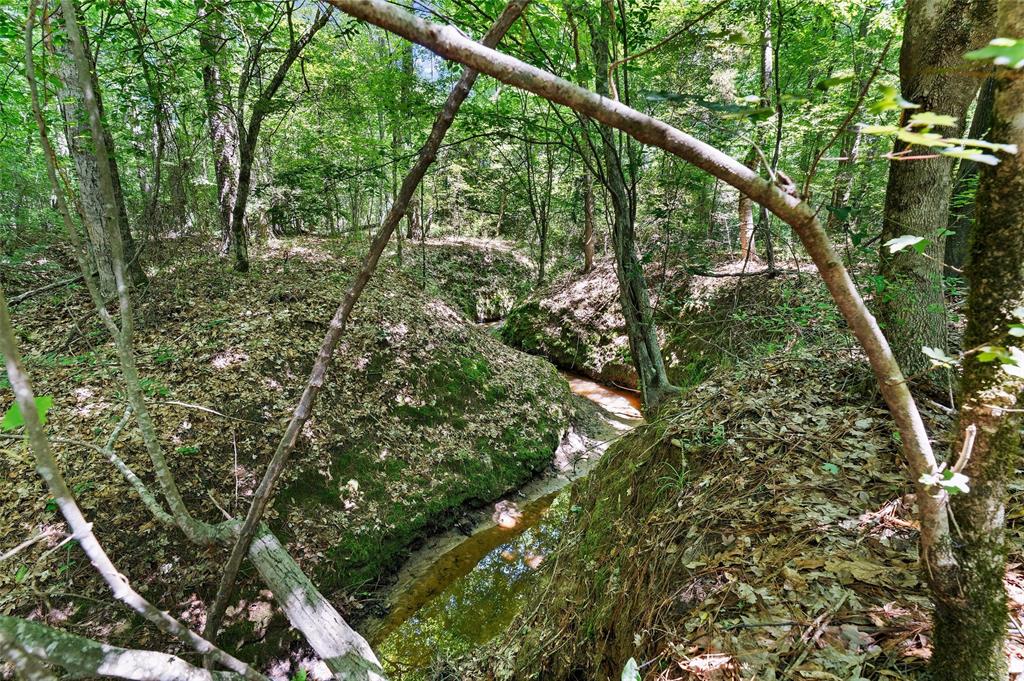 Tbd County Road 3361 Property Photo 14