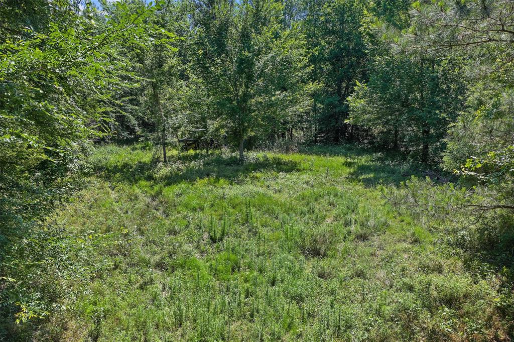 Tbd County Road 3361 Property Photo 15