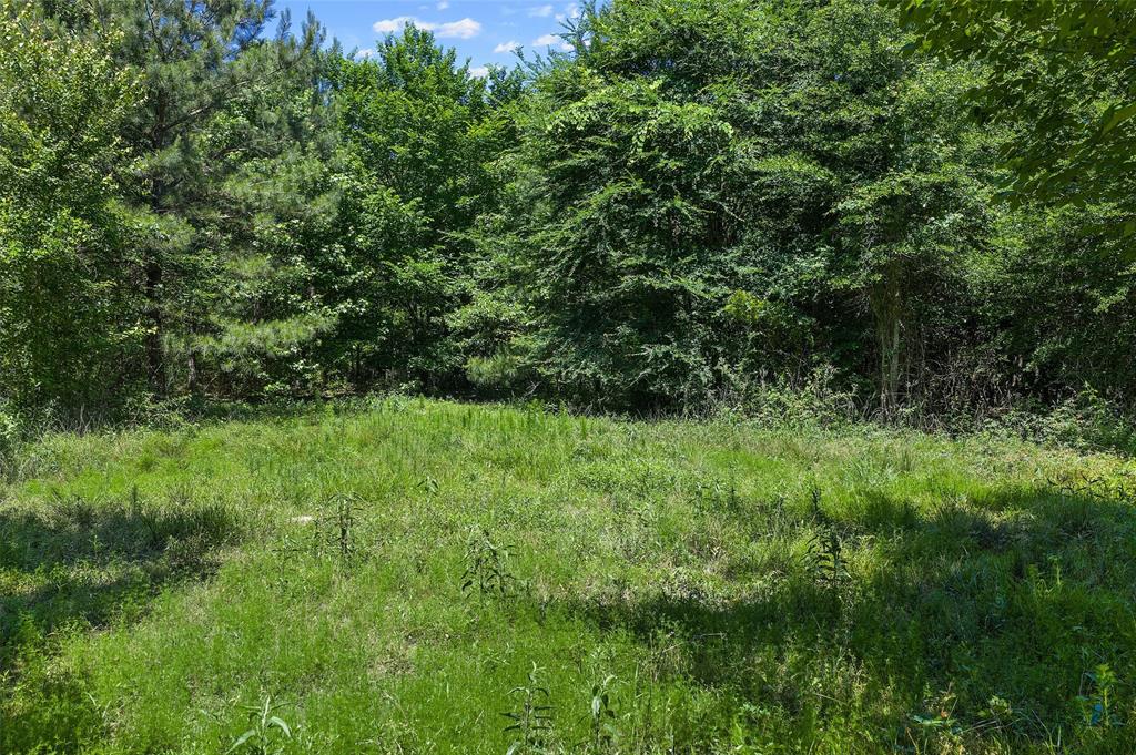 Tbd County Road 3361 Property Photo 16
