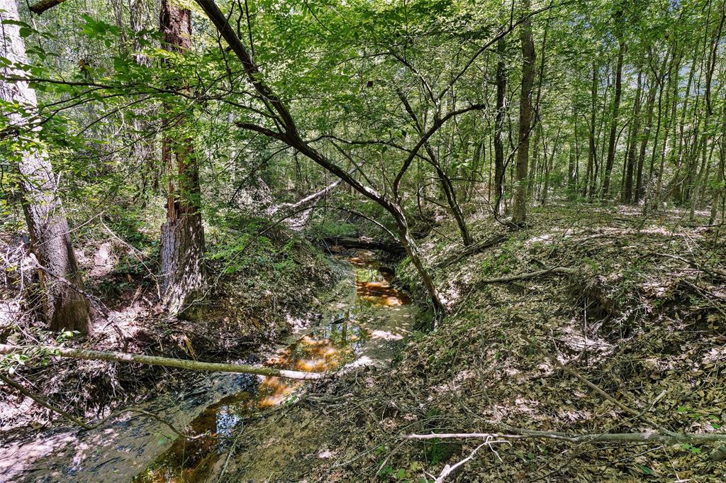 Tbd County Road 3361 Property Photo 18