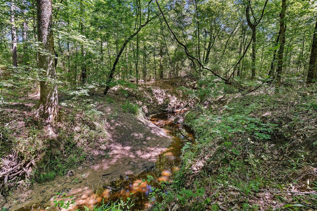 Tbd County Road 3361 Property Photo 19
