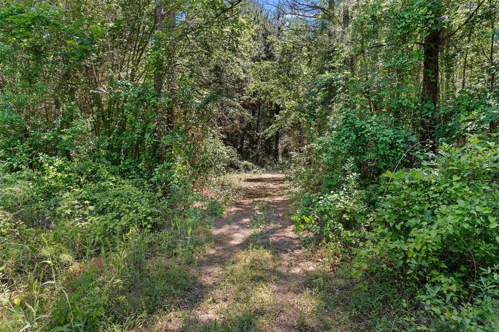 Tbd County Road 3361 Property Photo 20