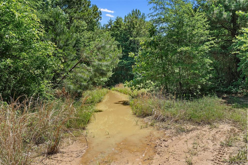 Tbd County Road 3361 Property Photo 21
