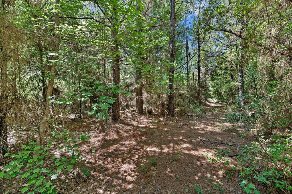Tbd County Road 3361 Property Photo 23