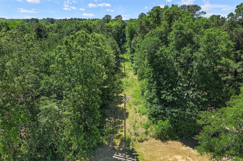 Tbd County Road 3361 Property Photo 25