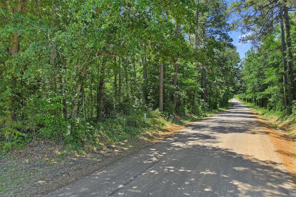 Tbd County Road 3361 Property Photo 27