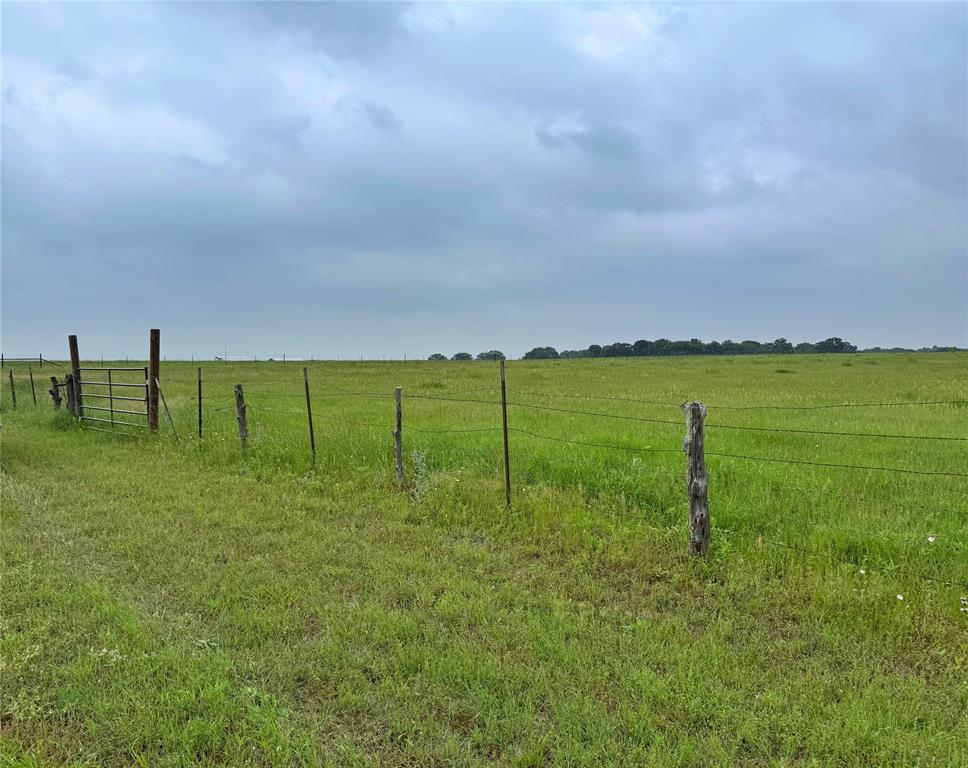 Fm 1304 Property Photo 5