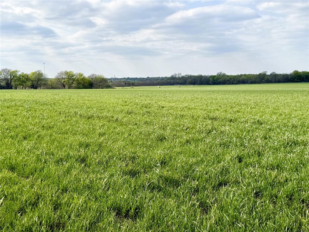 Tbd Fm 64 Property Photo 9