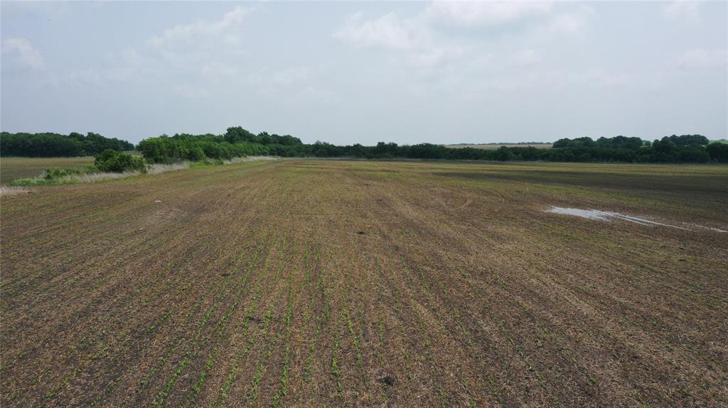 Tbd Fm 64 Property Photo 15