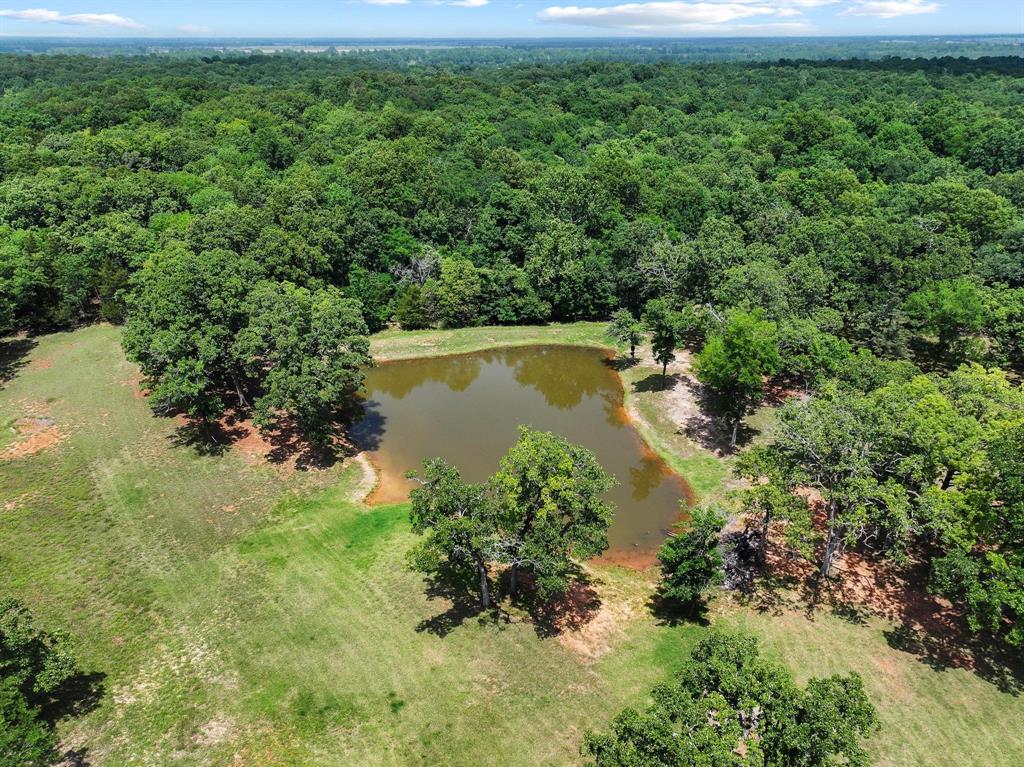 3893 Fm 906 Property Photo 6