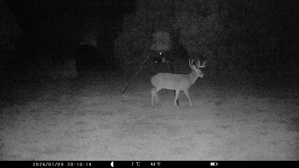5636 Fm 56 Property Photo 34