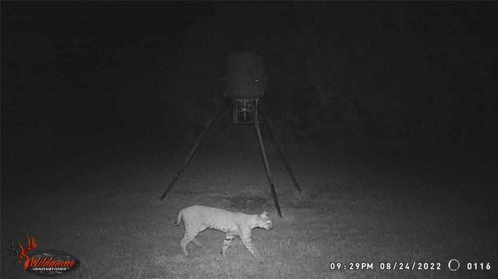 5636 Fm 56 Property Photo 37