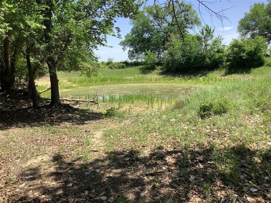 1625 County Road 281 Property Photo 3