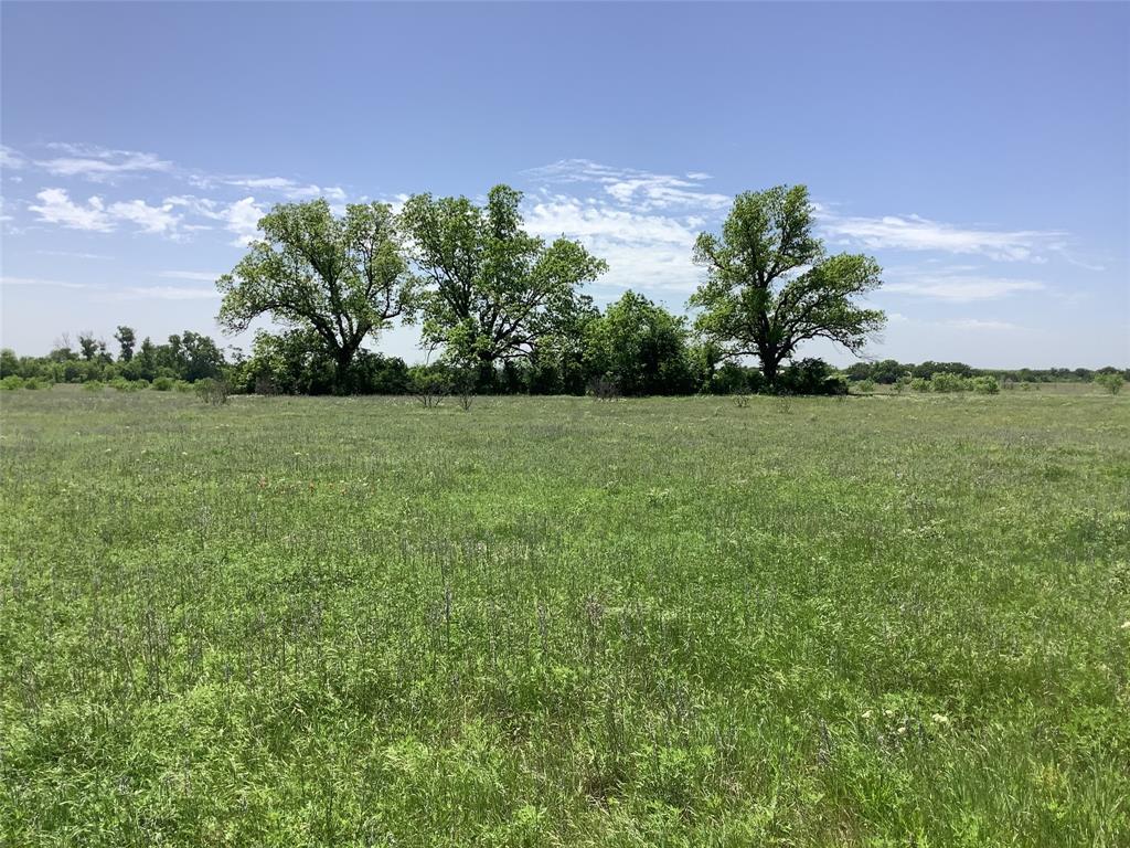 1625 County Road 281 Property Photo 4