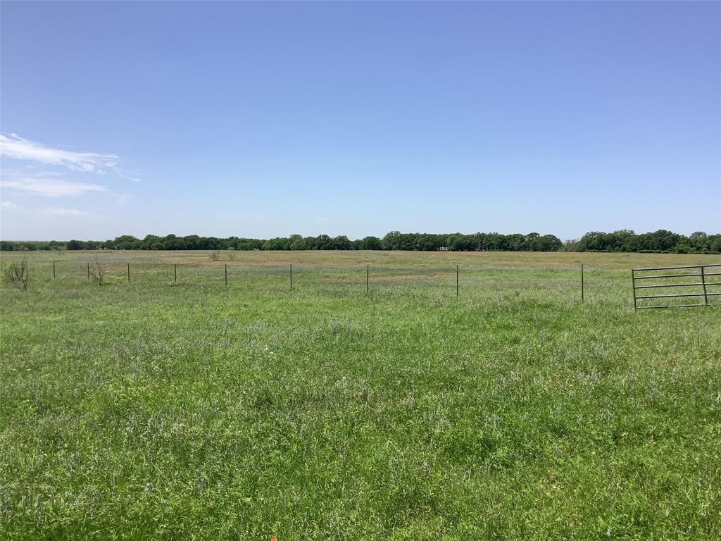 1625 County Road 281 Property Photo 5