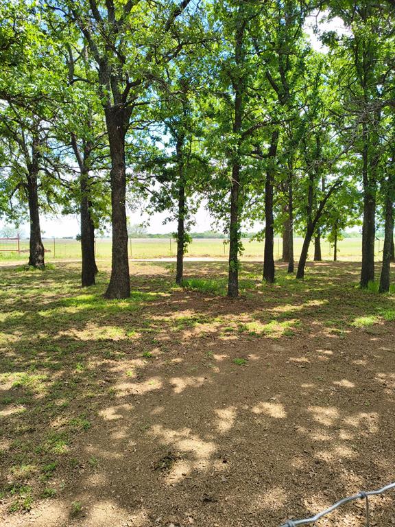 1625 County Road 281 Property Photo 14