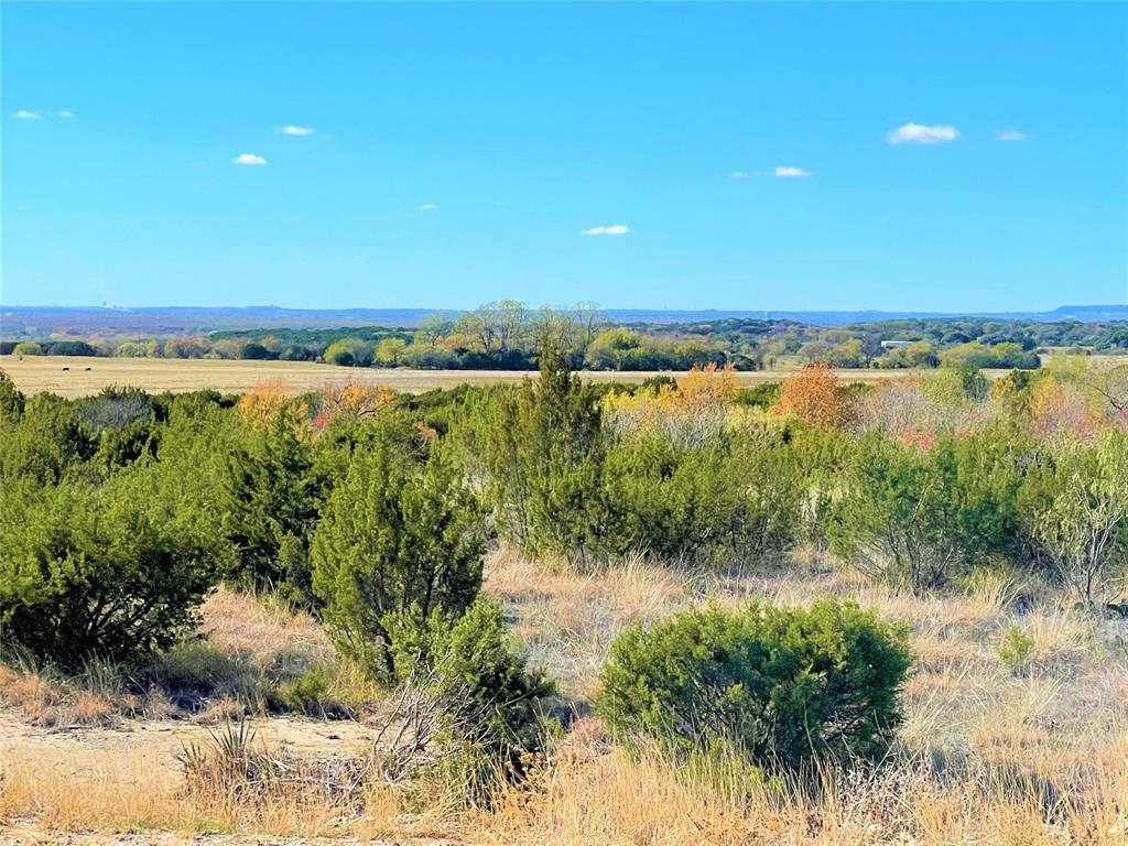 12601 Sue Lane Property Photo 2