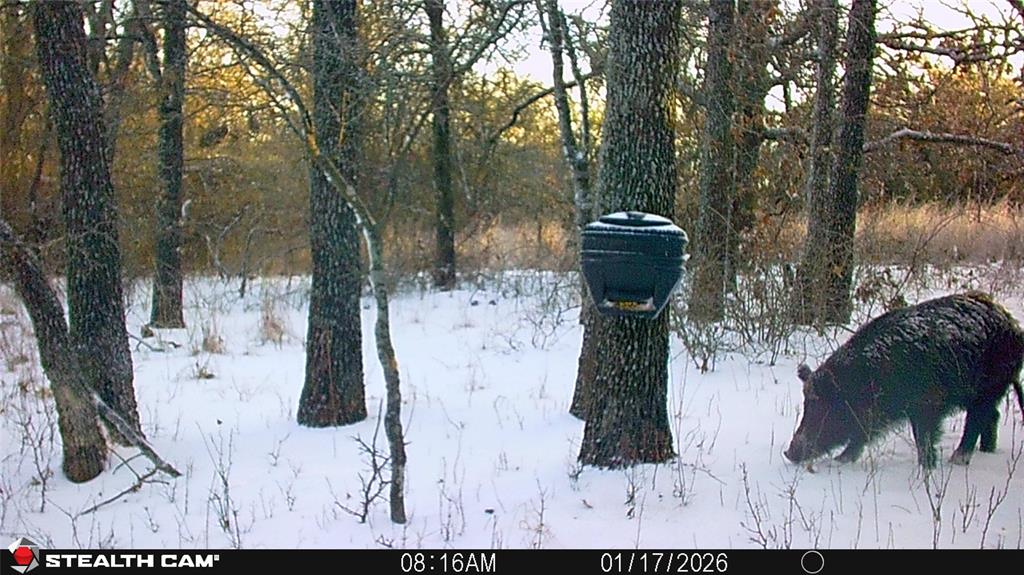 53 Ac Cr 3757 Property Photo 15