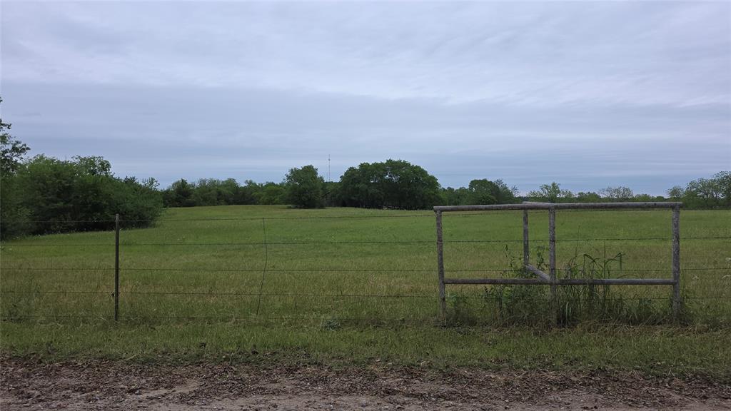 3392 Fm 896 Property Photo 5