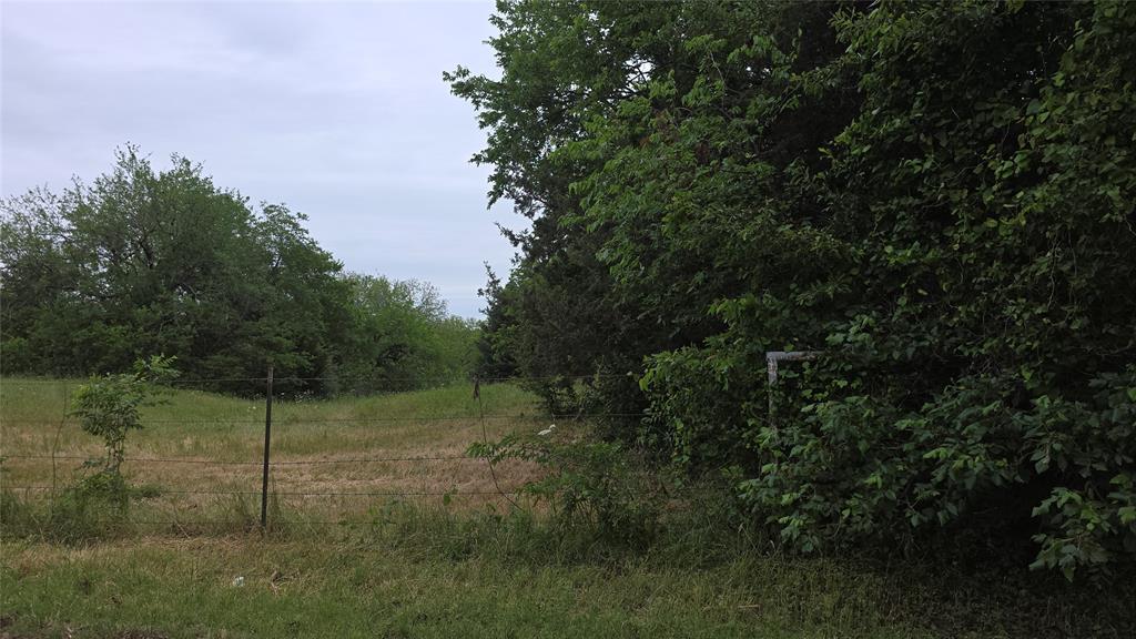 3392 Fm 896 Property Photo 10