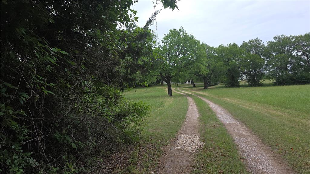 3392 Fm 896 Property Photo 11