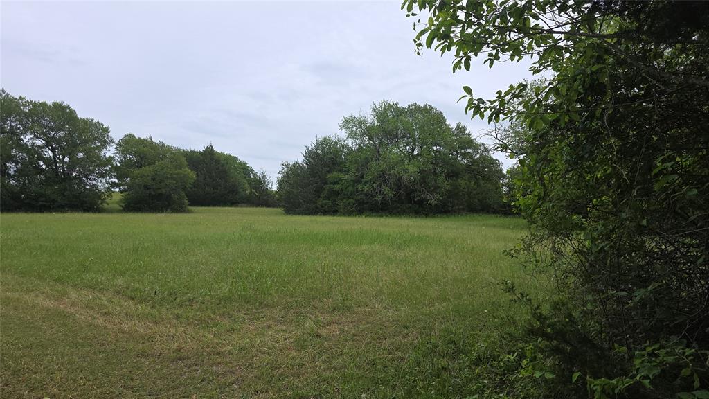 3392 Fm 896 Property Photo 12