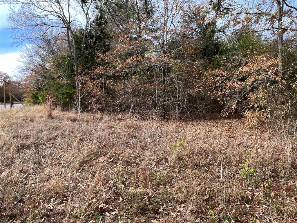 Tbd State Hwy 64 Property Photo 3