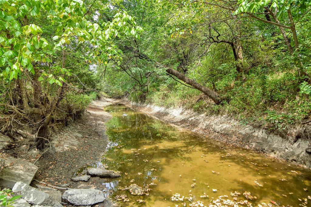 10616 State Highway 78 Property Photo 1