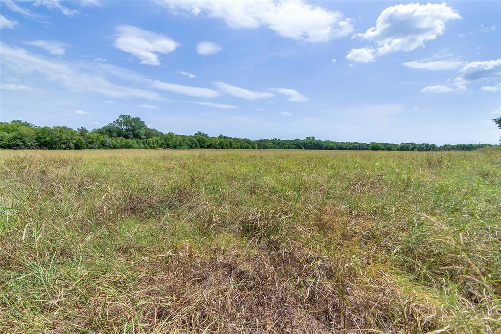 10616 State Highway 78 Property Photo 27