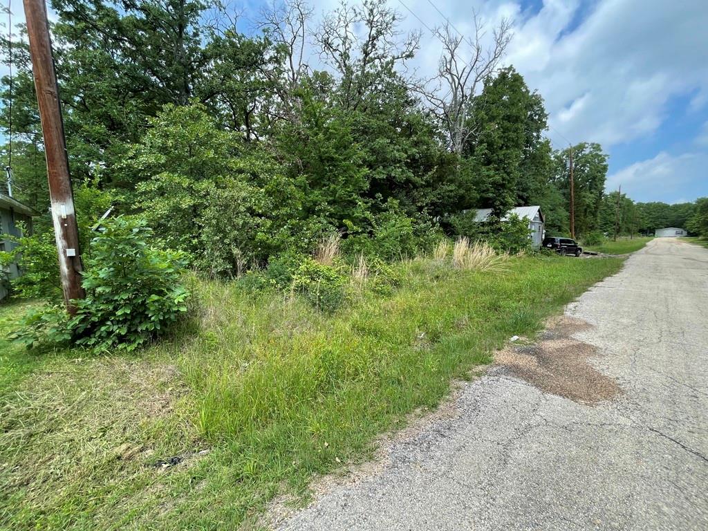 Lot 510 Mustang Drive Property Photo 1
