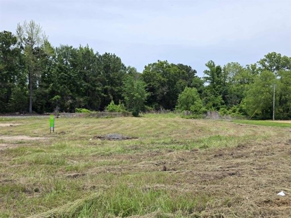1.56 Acres Mill Road Property Photo 4