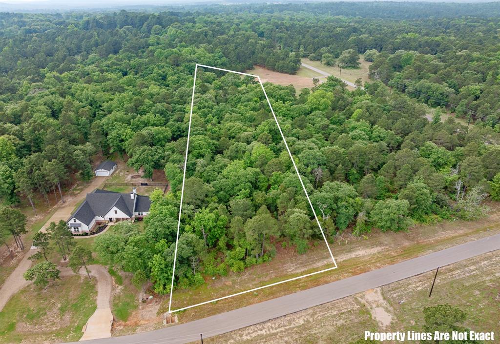 3121 Shadow Pines Property Photo 1