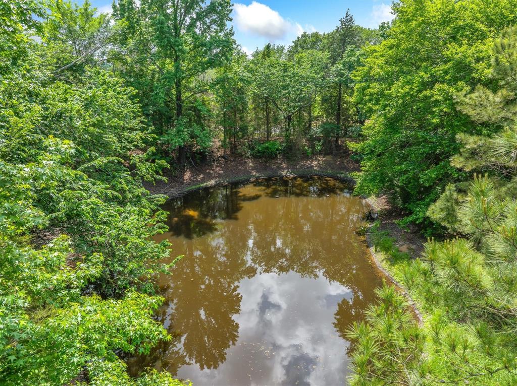2489 Fm 2909 Property Photo 6