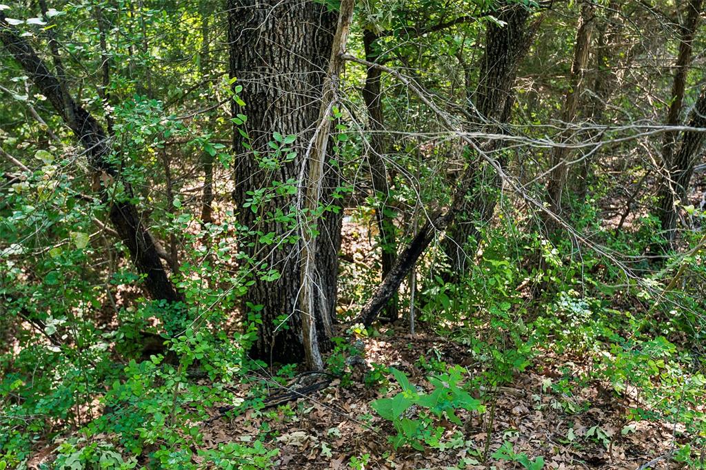 194 Private Road 4663 Property Photo 35