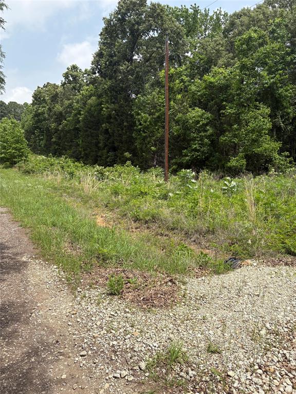 0 County Road 4112 Property Photo 1