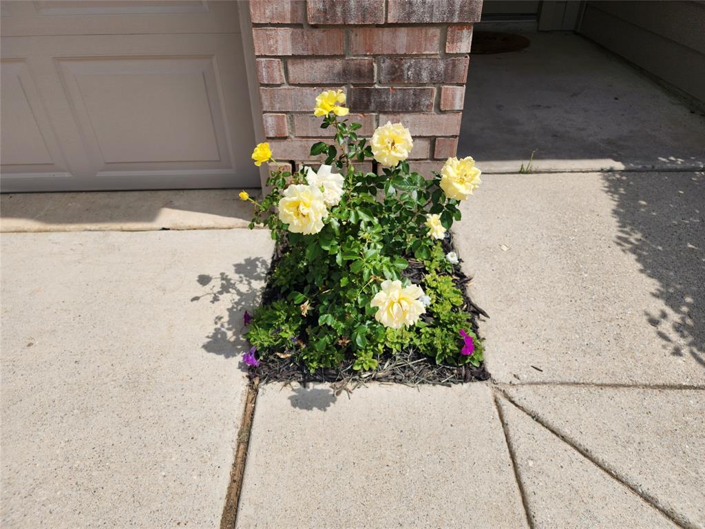 12808 Kingsgate Drive Property Photo 38