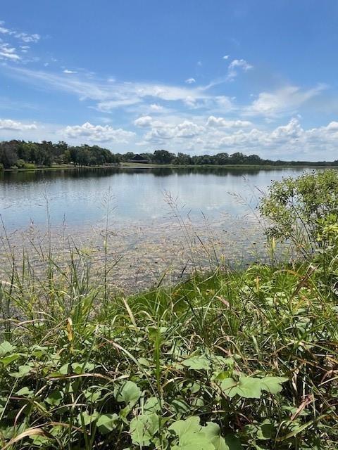 1065 Bluegill Ridge Property Photo 1